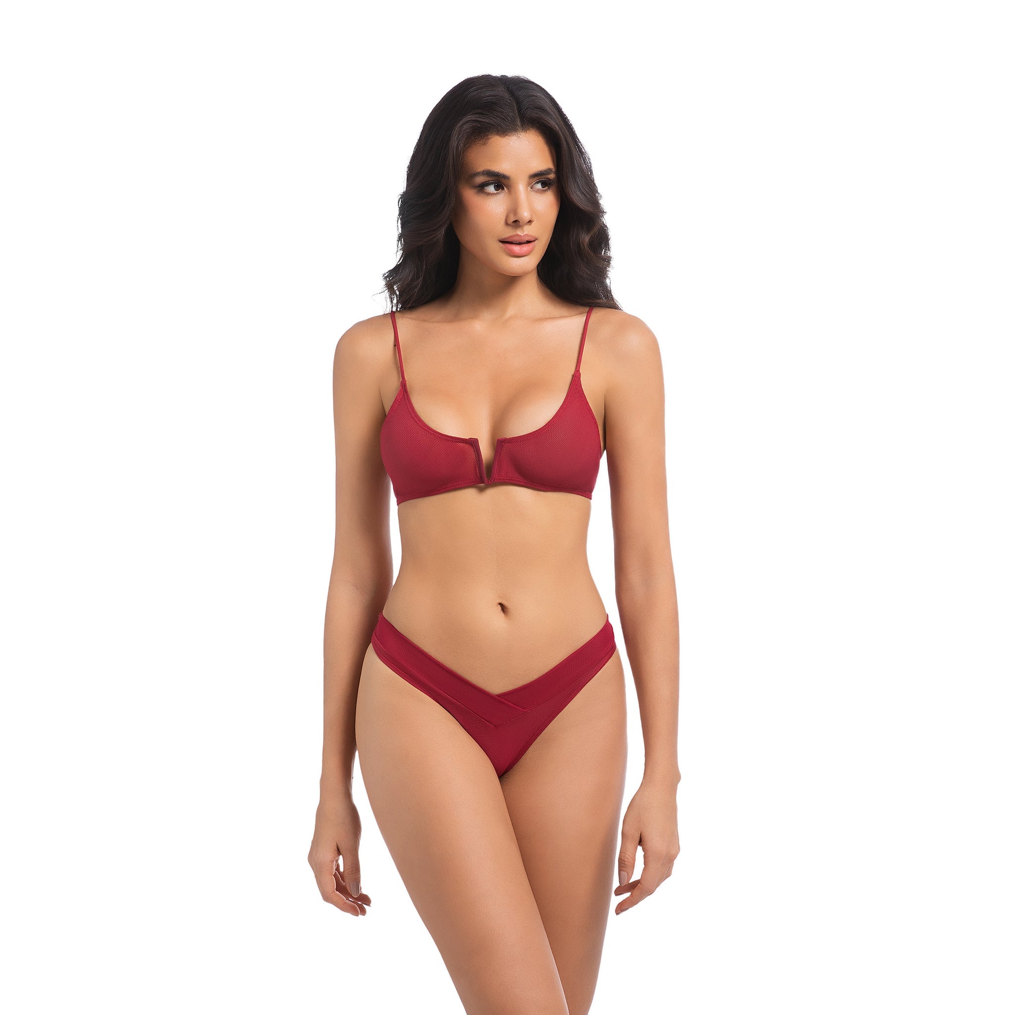 Meridian | V-Neck Plunge Bikini